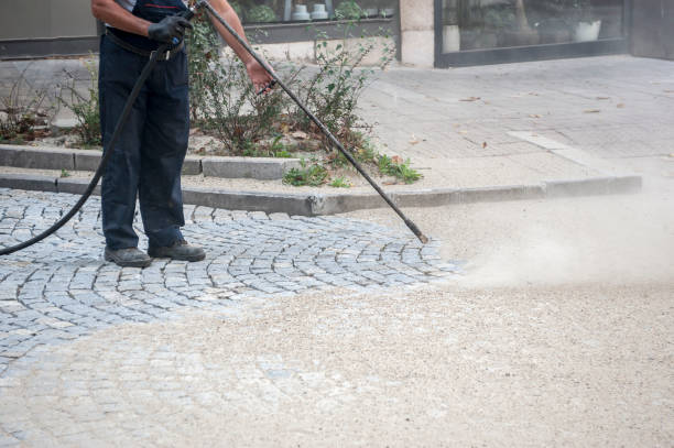 Best Residential House Exterior Washing  in Clayton, MO