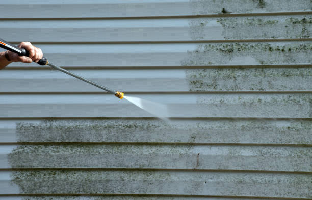 Best Dumpster Area Cleaning  in Clayton, MO